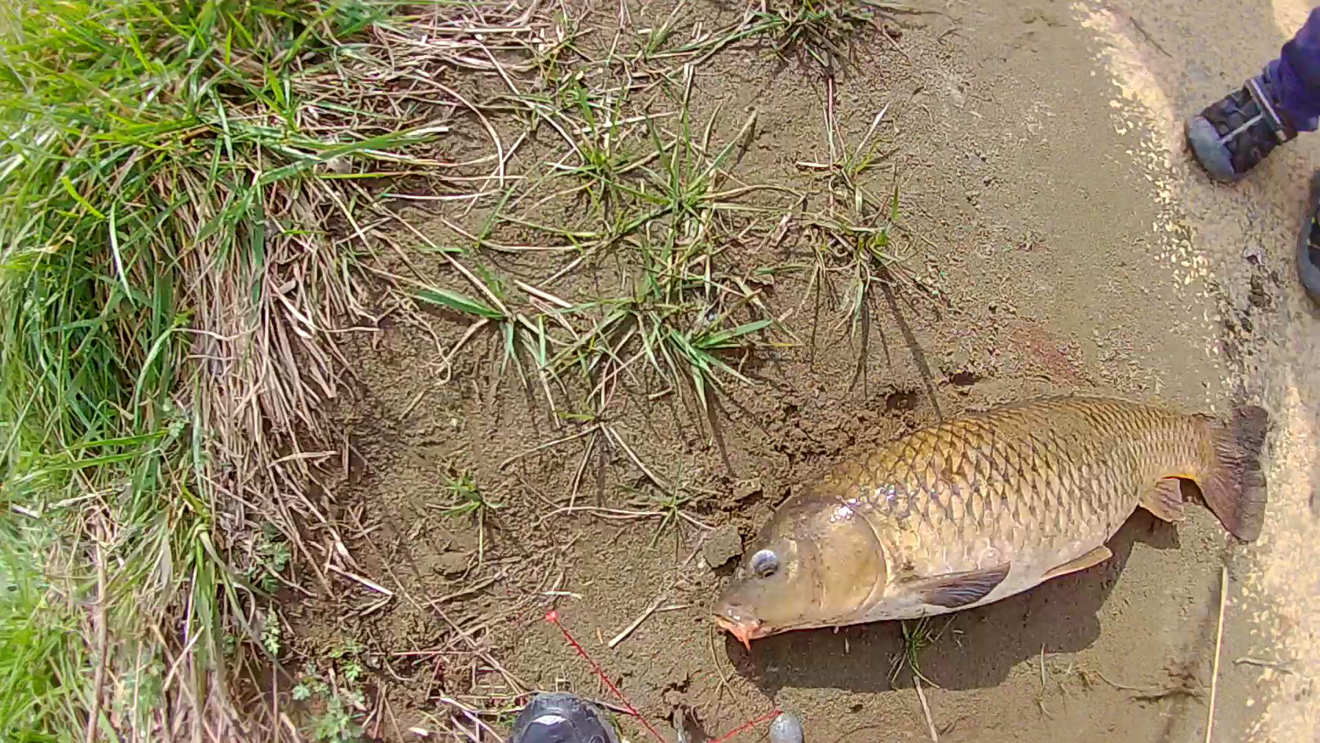 魚を求めてどこまでも大自然との闘いyoutubeで釣りの楽しさを配信したい Campfire キャンプファイヤー 魚を求めてどこまでも大自然との闘いyoutubeで釣りの楽しさを配信したい Campfire キャンプファイヤー