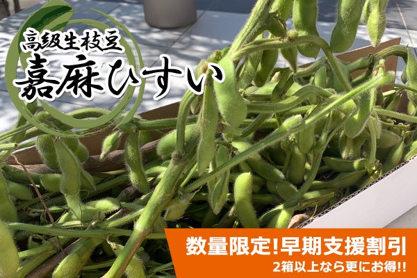 期間限定 早期予約割引 高級希少生枝豆 嘉麻ひすい を採れたてで食べよう Campfire キャンプファイヤー 期間限定 早期予約割引 高級希少生枝豆 嘉麻ひすい を採れたてで食べよう Campfire キャンプファイヤー