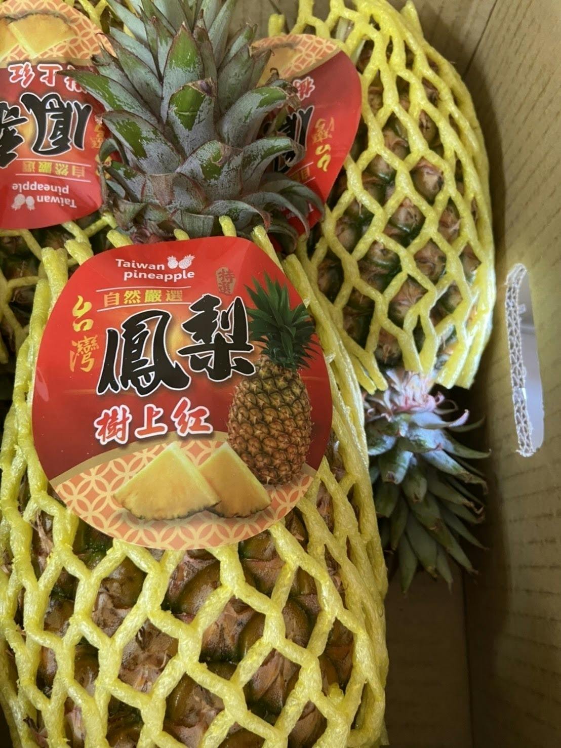 台湾パイナップルが5トン分入って来ます Campfire キャンプファイヤー 台湾パイナップルが5トン分入って来ます Campfire キャンプファイヤー