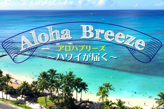 ハワイを 感じられる 新たなサイトを立ち上げたい Campfire キャンプファイヤー