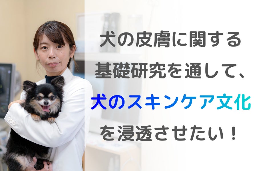 犬の皮膚に関する基礎研究を通して 犬のスキンケア文化を浸透させたい Campfire キャンプファイヤー