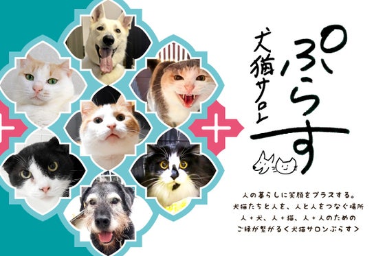 犬猫サロンぷらす Goodmorning By Campfire