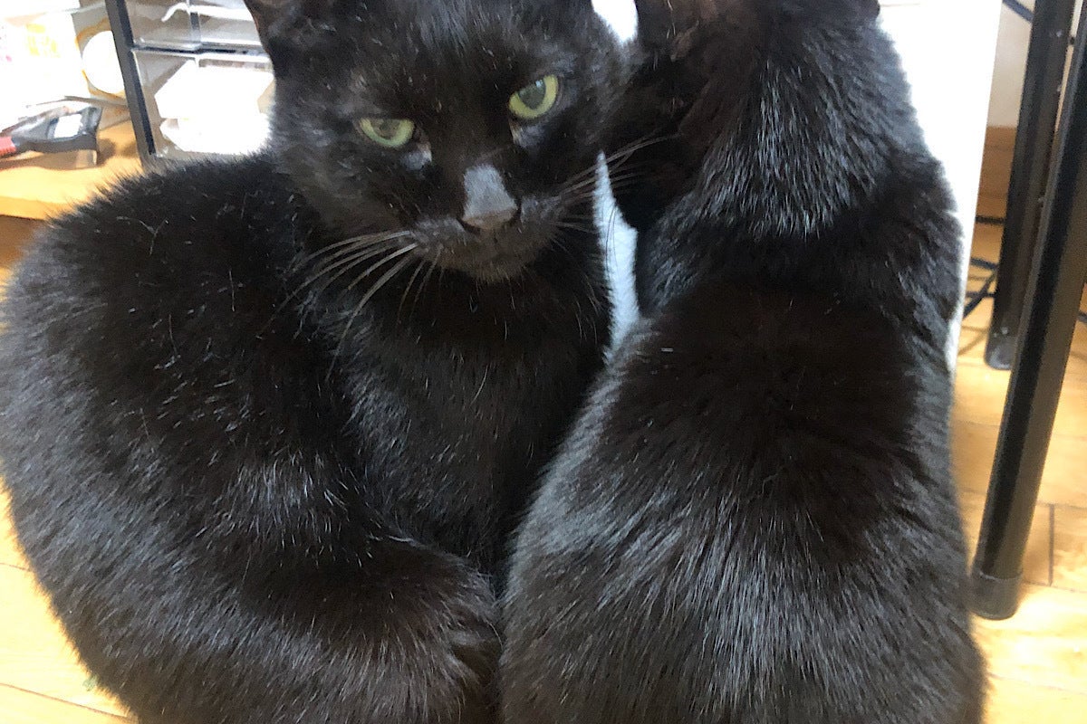 5番目のメイン画像