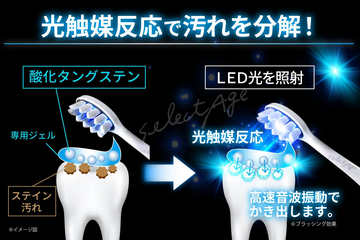 ホワイトニング LED 音波ブラシ www.krzysztofbialy.com