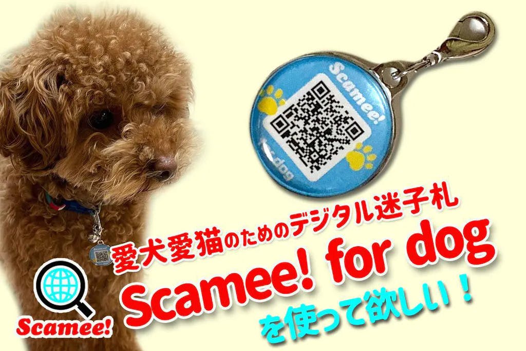 迷子犬をゼロに Qrコードで愛犬の情報 健康 ワクチン証明も登録できる迷子札 Campfire キャンプファイヤー