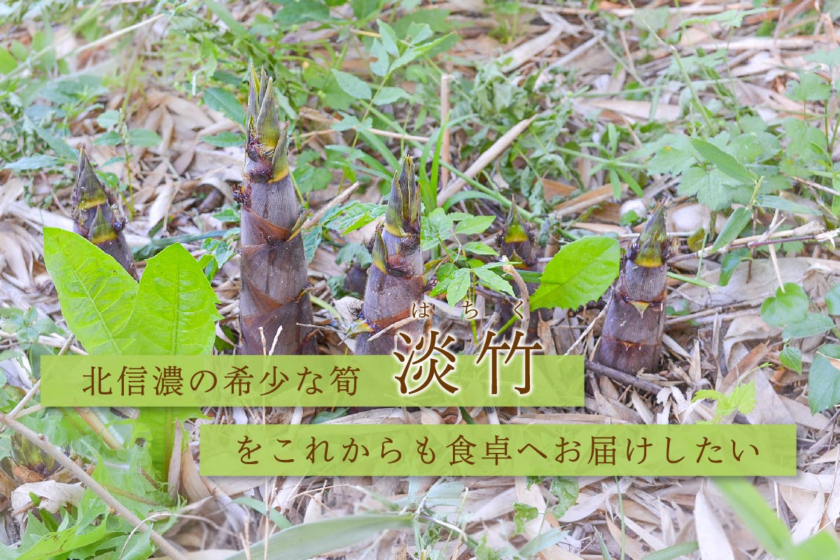 北信濃特産の筍「淡竹」を継承するため、お力をお貸しください。