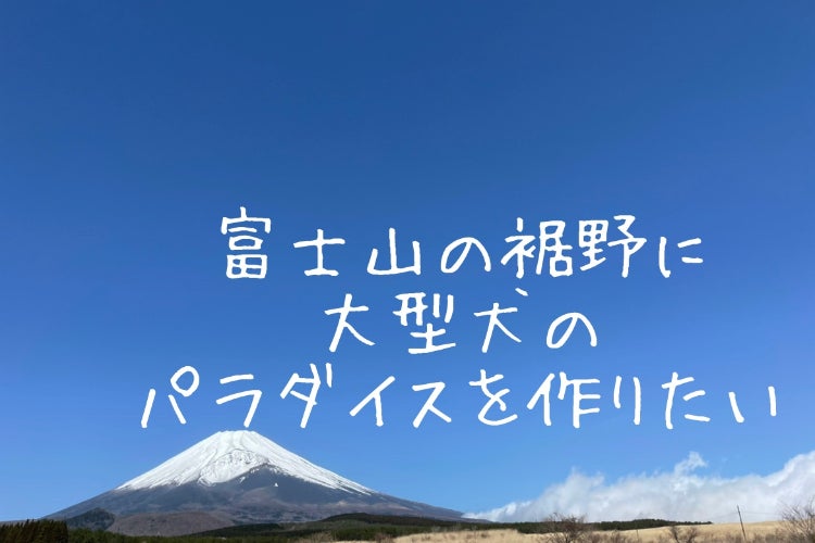 富士山の裾野に大型犬優先宿泊施設を創りたい Campfire キャンプファイヤー
