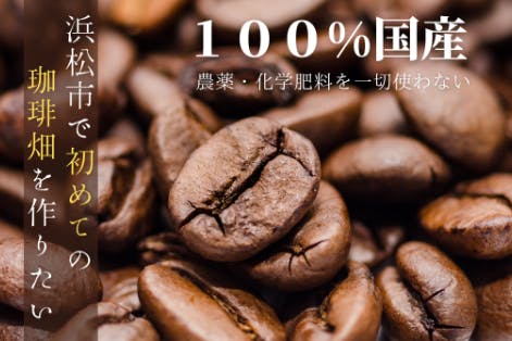 浜松市に初めてのコーヒー畑を作り 100 国産のコーヒー豆で日本を明るく Campfire キャンプファイヤー