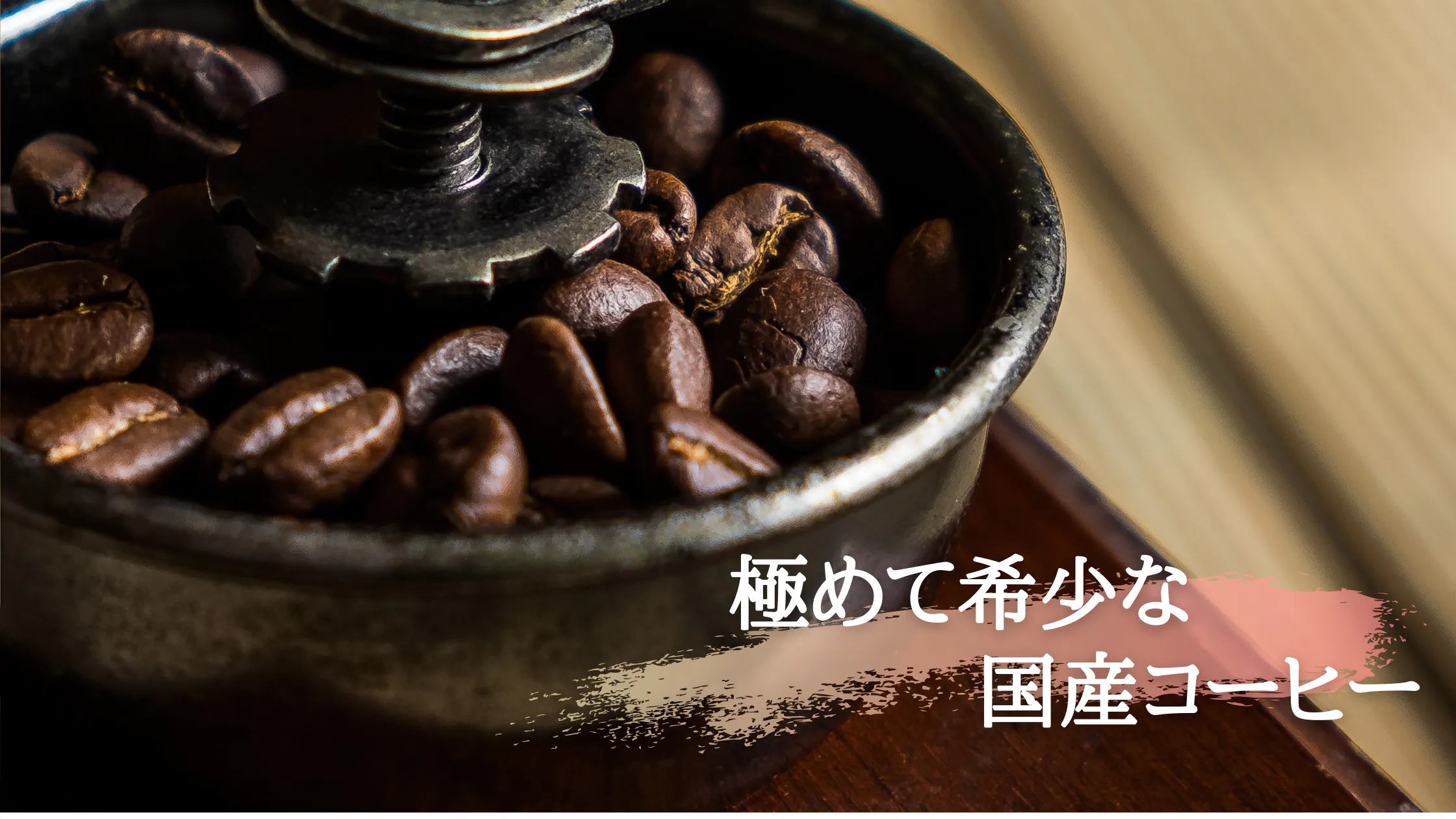 浜松市に初めてのコーヒー畑を作り 100 国産のコーヒー豆で日本を明るく Campfire キャンプファイヤー 浜松市に初めてのコーヒー畑を作り 100 国産のコーヒー豆で日本を明るく Campfire キャンプファイヤー