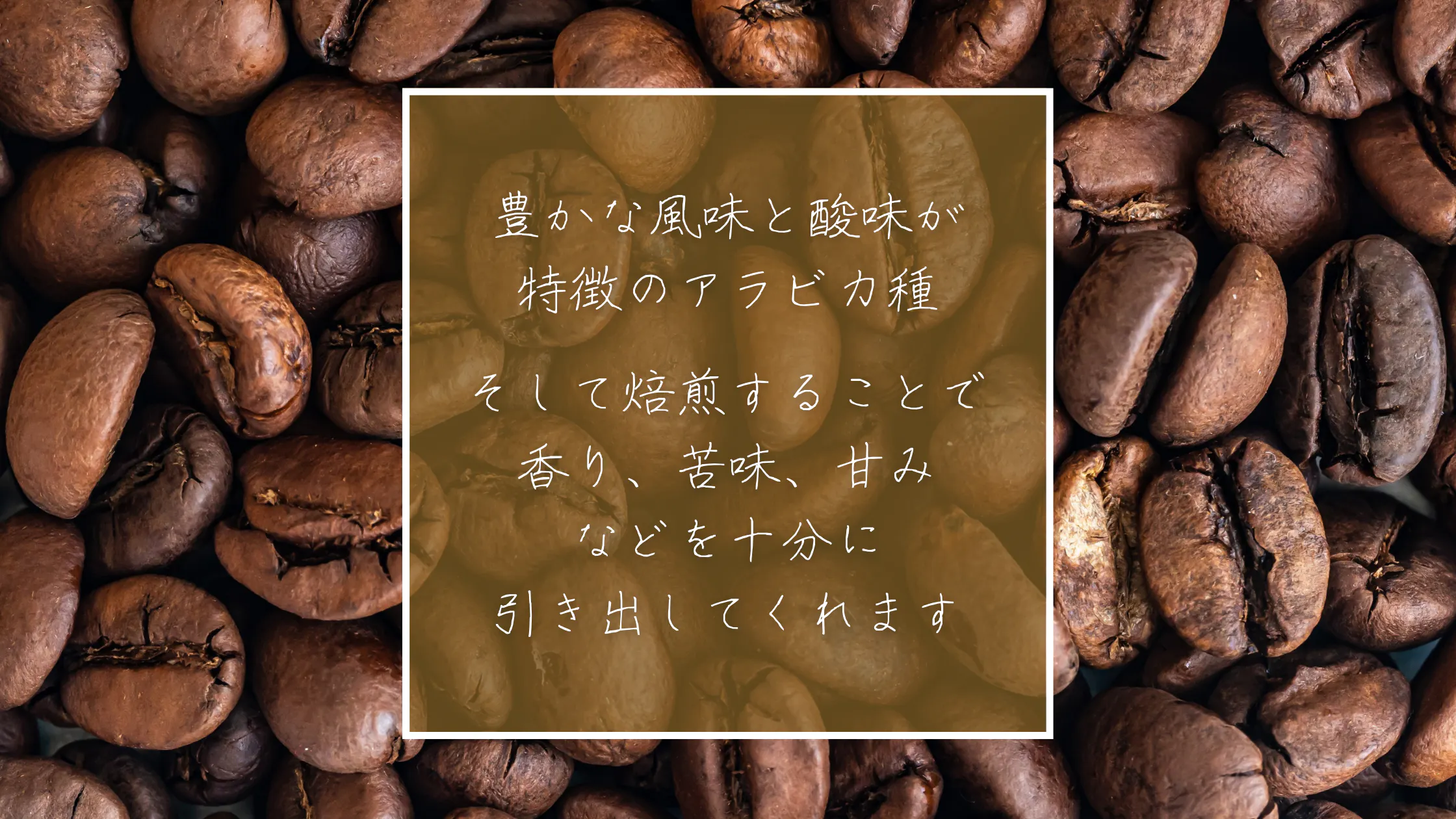 浜松市に初めてのコーヒー畑を作り 100 国産のコーヒー豆で日本を明るく Campfire キャンプファイヤー 浜松市に初めてのコーヒー畑を作り 100 国産のコーヒー豆で日本を明るく Campfire キャンプファイヤー