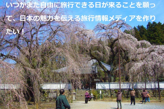 コロナウイルスに負けない 旅行業の仲間と旅行情報メディアを作りたい Campfire キャンプファイヤー