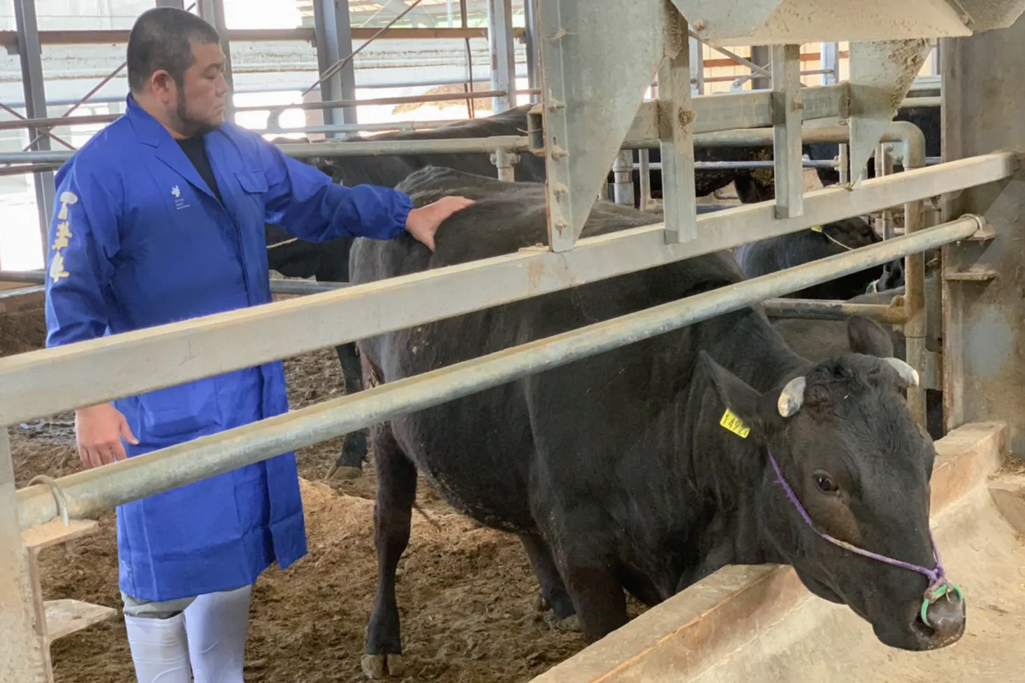 5番目のメイン画像