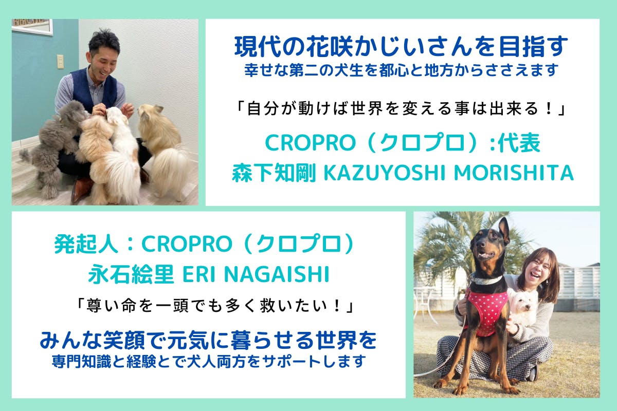 繁殖引退犬たちの 第二の犬生をしあわせにしたい プロジェクト Campfire キャンプファイヤー 繁殖引退犬たちの 第二の犬生をしあわせにしたい プロジェクト Campfire キャンプファイヤー