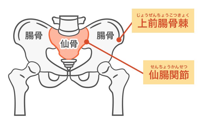 今までの腰ベルトで痛みがとれなかった方へ 後ろ締めが可能な骨盤ベルト ペルサポ Campfire キャンプファイヤー 今までの腰ベルトで痛みがとれなかった方へ 後ろ締めが可能な骨盤ベルト ペルサポ Campfire キャンプファイヤー