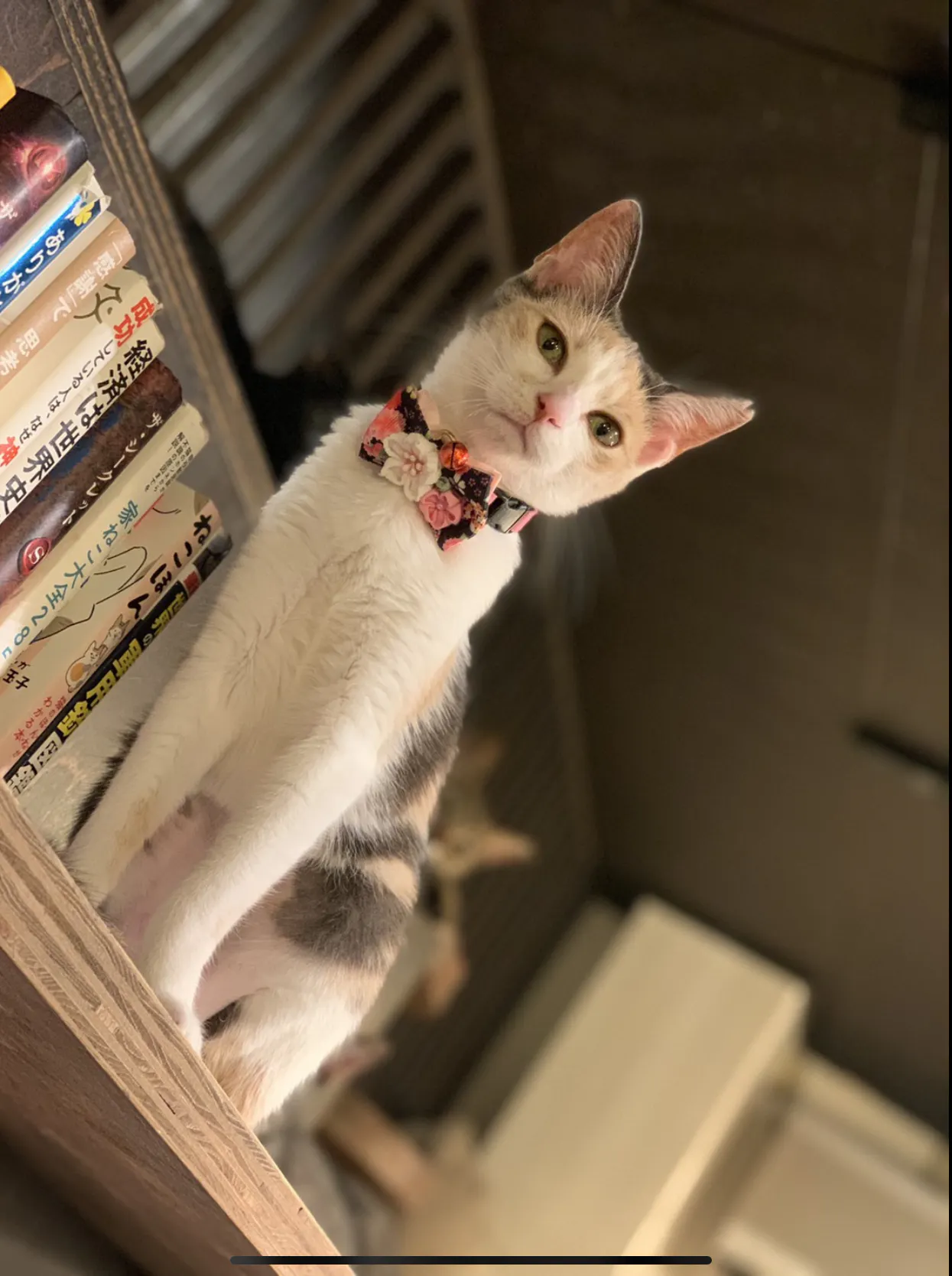 5番目のメイン画像