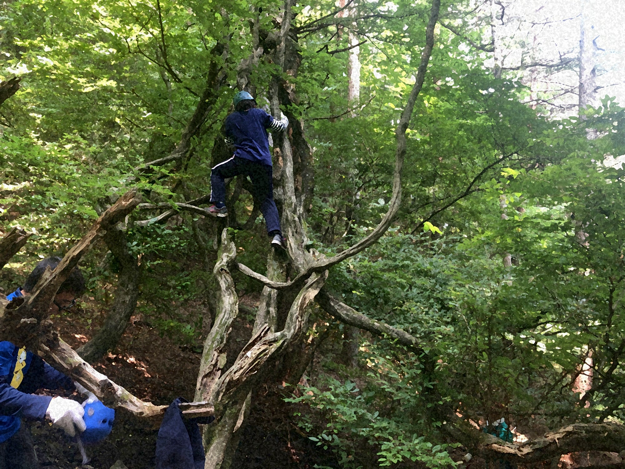 4番目のメイン画像