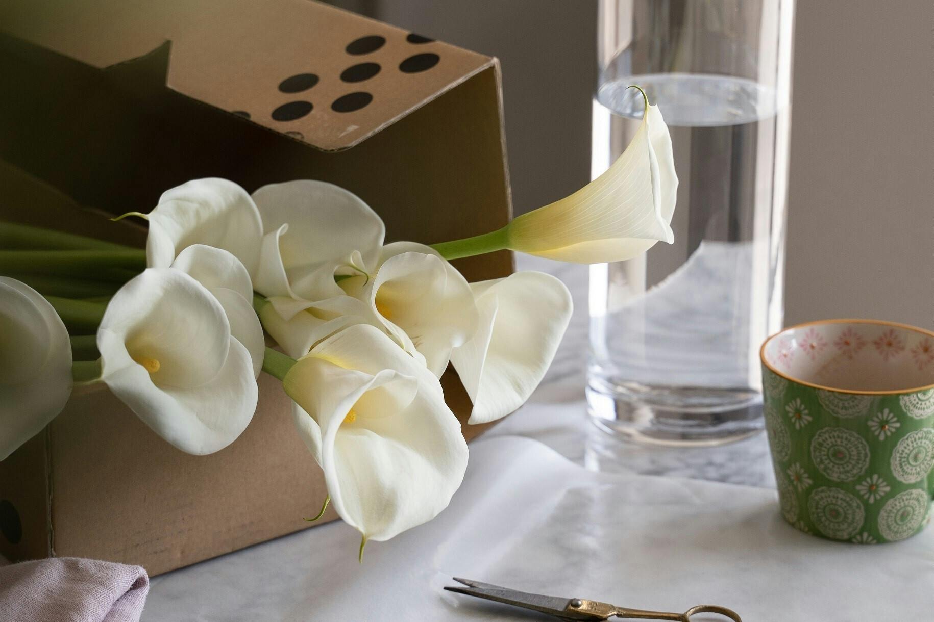 伊勢丹浦和店でイベント出店中です Campfire キャンプファイヤー 伊勢丹浦和店でイベント出店中です Campfire キャンプファイヤー