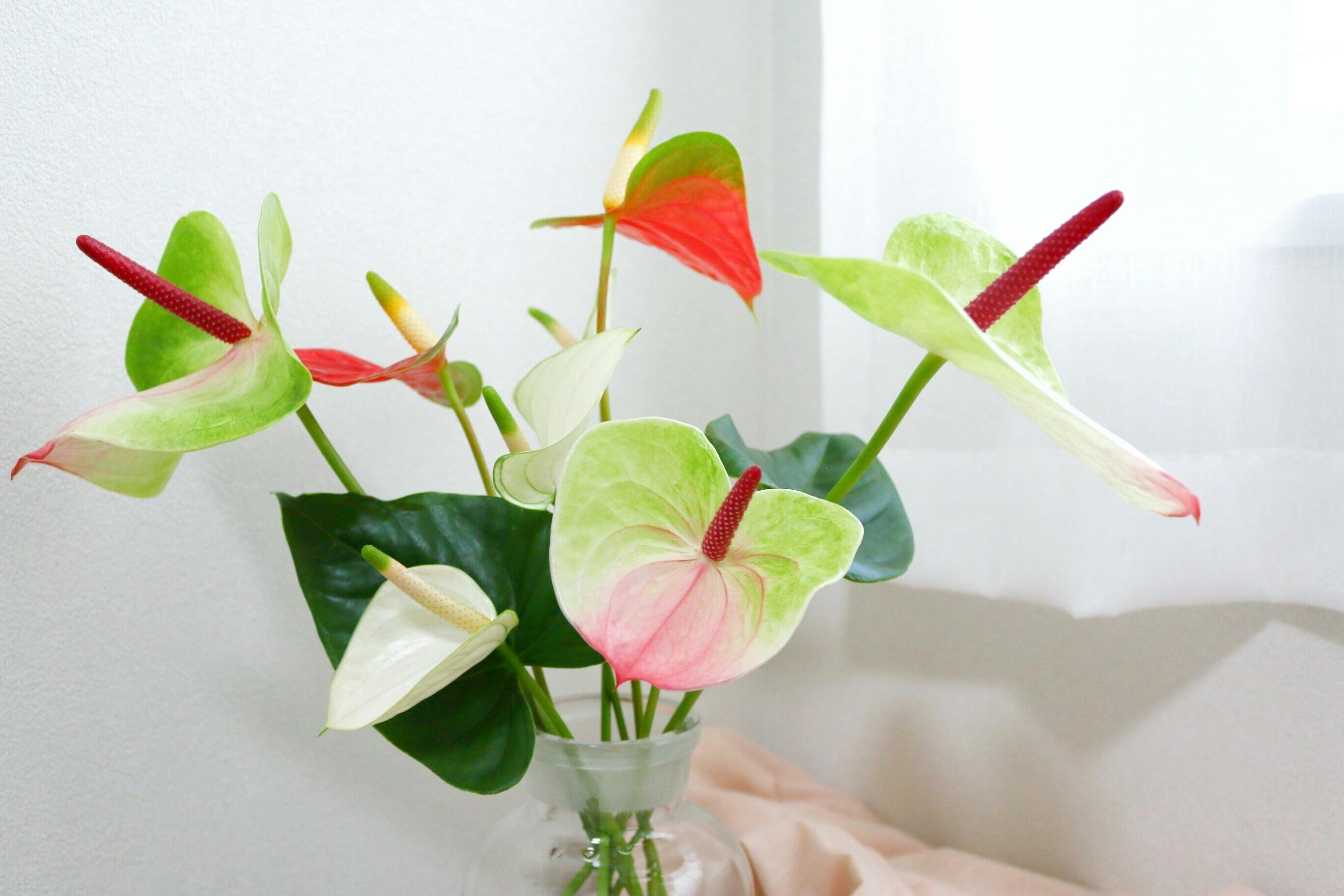 伊勢丹浦和店でイベント出店中です Campfire キャンプファイヤー 伊勢丹浦和店でイベント出店中です Campfire キャンプファイヤー