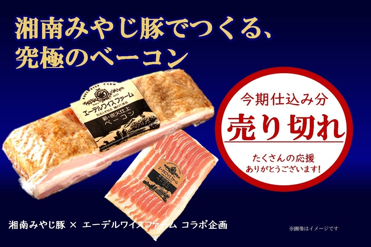 没ネタ公開】ベーコンが美味しすぎて思わず書いてしまった食レポ