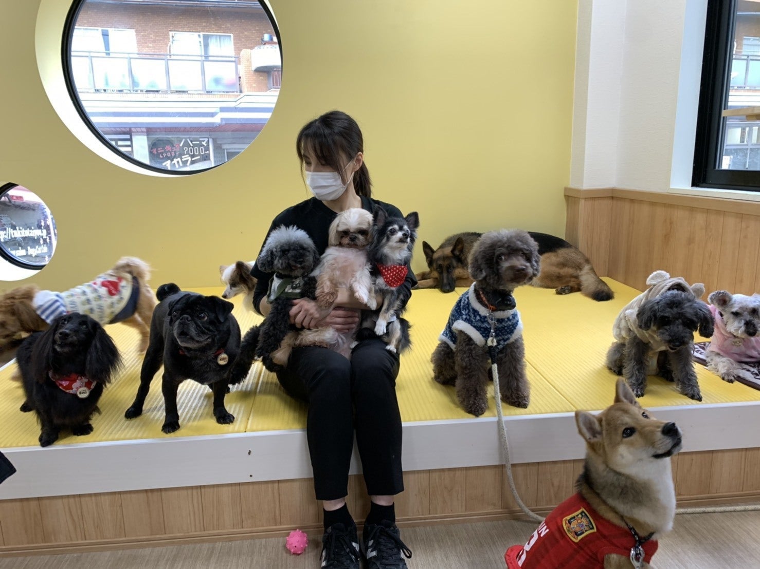 2番目のメイン画像