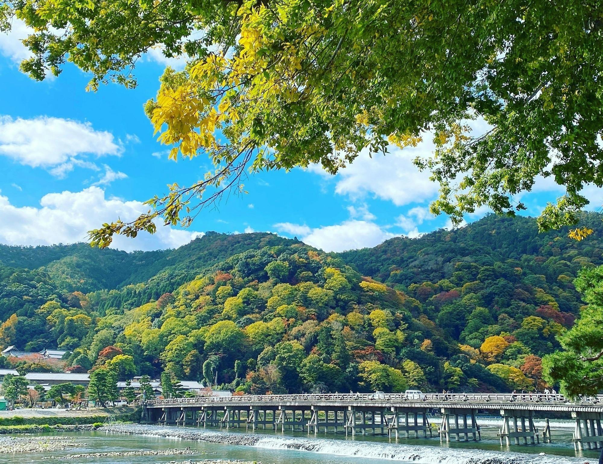京都 嵐山から 絶品 きなこシロップ をお届け おうち時間に旅気分と希望を Campfire キャンプファイヤー 京都 嵐山から 絶品 きなこシロップ をお届け おうち時間に旅気分と希望を Campfire キャンプファイヤー