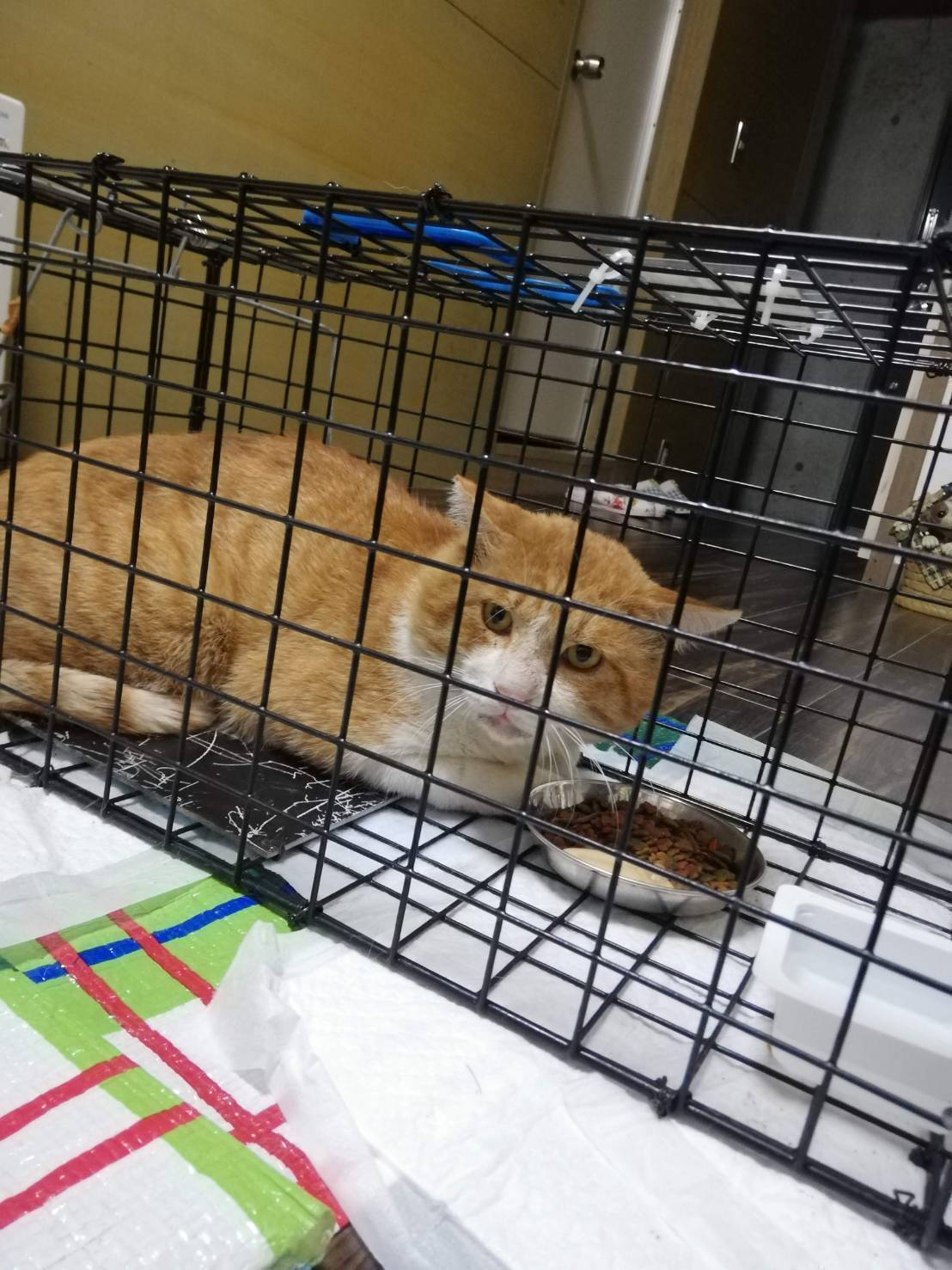 5番目のメイン画像