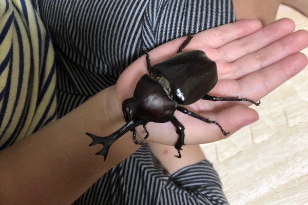 1番目のメイン画像