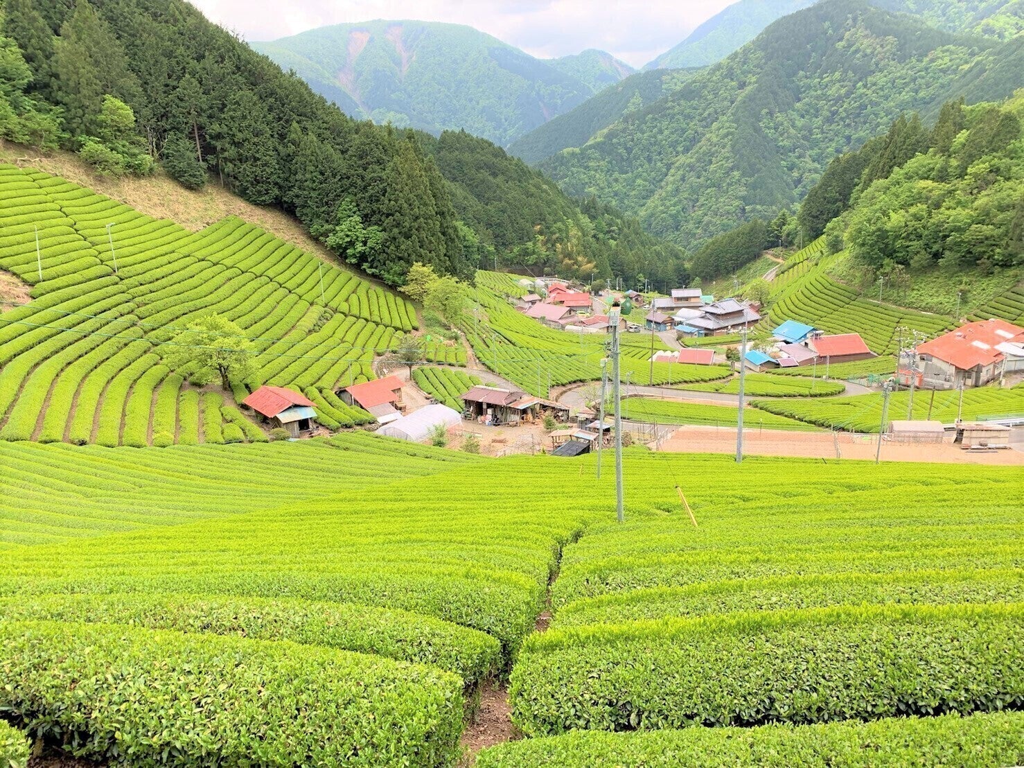 2番目のメイン画像