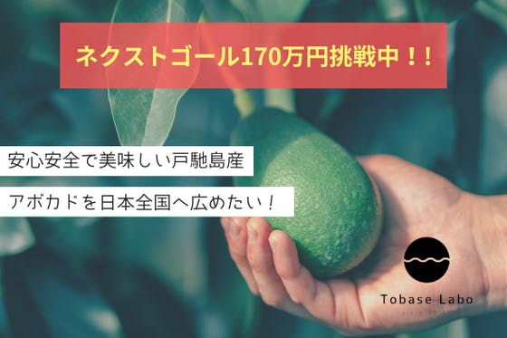 安心安全で美味しい熊本・戸馳島産アボカドを日本全国に広めるため農地拡大したい！