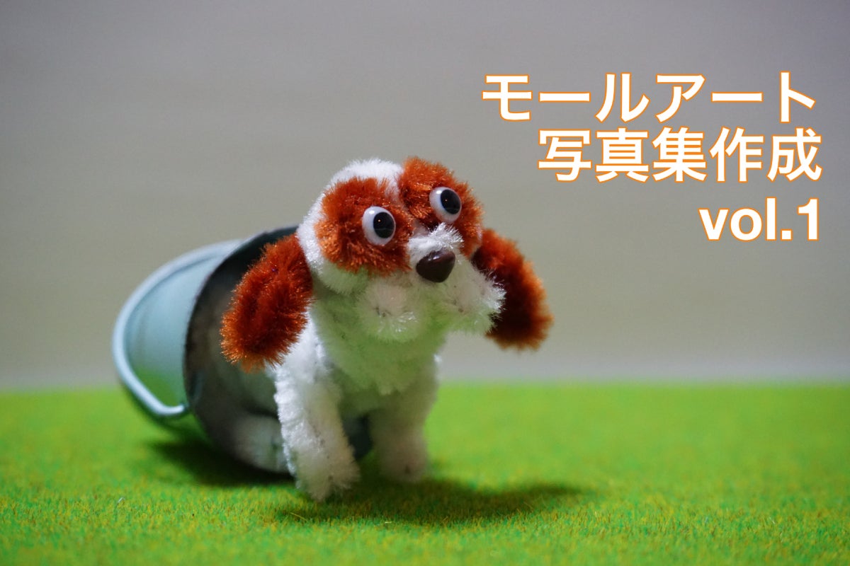 モールアート写真集作成計画vol.1 - CAMPFIRE (キャンプファイヤー) モールアート写真集作成計画vol.1 - CAMPFIRE (キャンプファイヤー)