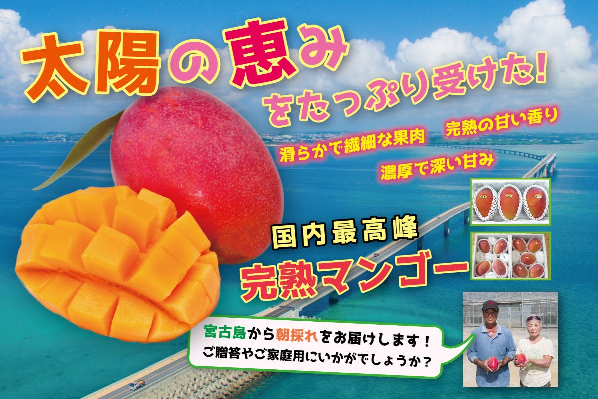宮古島産プライド 熱帯果樹の王様 宮古島産の 完熟マンゴー を届けます Campfire キャンプファイヤー 宮古島産プライド 熱帯果樹の王様 宮古島産の 完熟マンゴー を届けます Campfire キャンプファイヤー