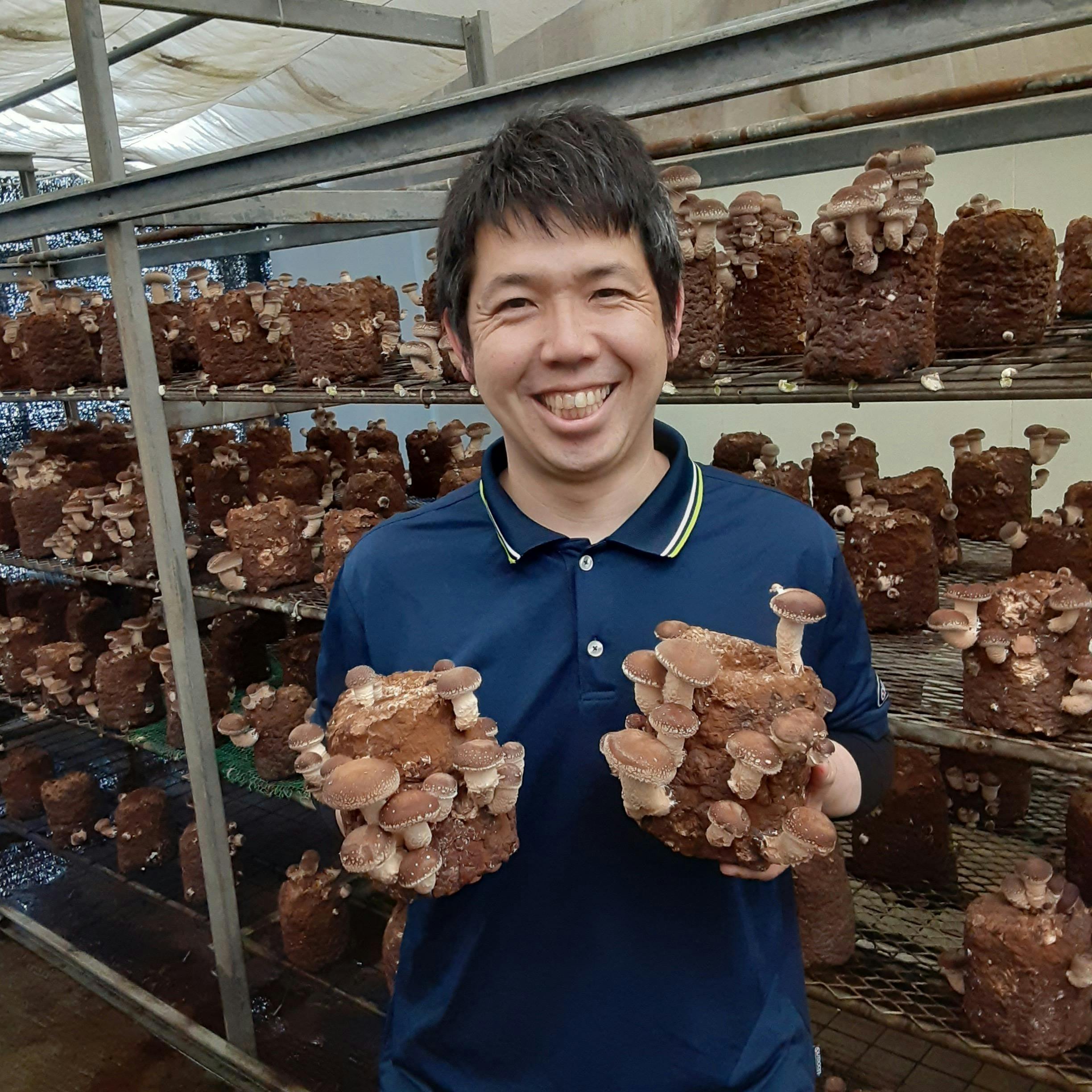 国産菌床しいたけで守ろう日本の農業と雇用 Campfire キャンプファイヤー 国産菌床しいたけで守ろう日本の農業と雇用 Campfire キャンプファイヤー