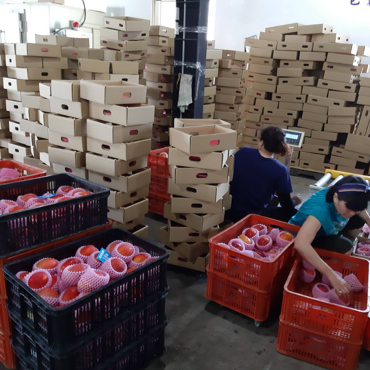 4番目のメイン画像