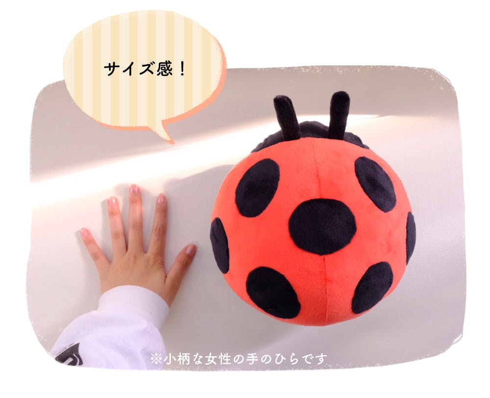 毎日てんとう虫ぬいぐるみプロジェクト Campfire キャンプファイヤー 毎日てんとう虫ぬいぐるみプロジェクト Campfire キャンプファイヤー