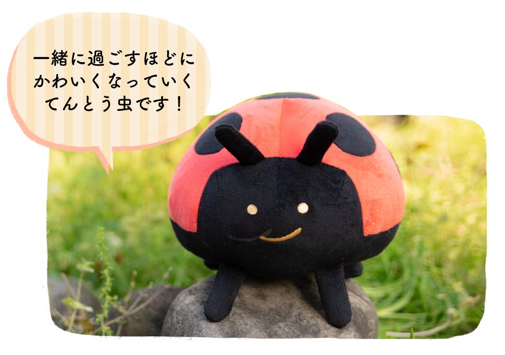 毎日てんとう虫ぬいぐるみプロジェクト Campfire キャンプファイヤー 毎日てんとう虫ぬいぐるみプロジェクト Campfire キャンプファイヤー