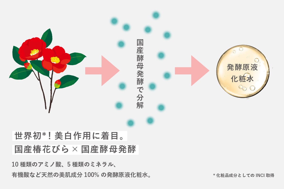元sk チームが魅せられた発酵の力 世界初 椿発酵 100 原液化粧水へ挑戦 Campfire キャンプファイヤー 元sk チームが魅せられた発酵の力 世界初 椿発酵 100 原液化粧水へ挑戦 Campfire キャンプファイヤー