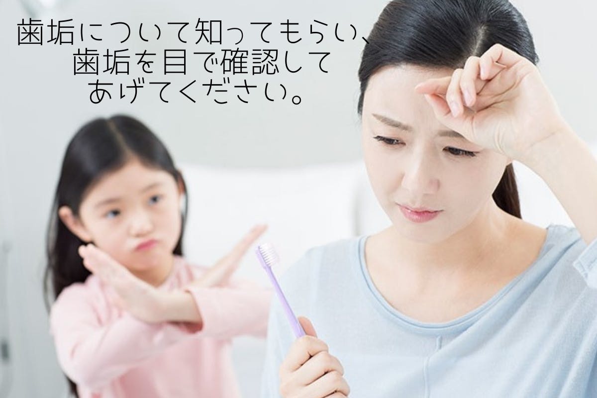 大人も子供も歯磨き悩みさよなら 歯垢チェッカーで磨き残しゼロ Campfire キャンプファイヤー 大人も子供も歯磨き悩みさよなら 歯垢チェッカーで磨き残しゼロ Campfire キャンプファイヤー