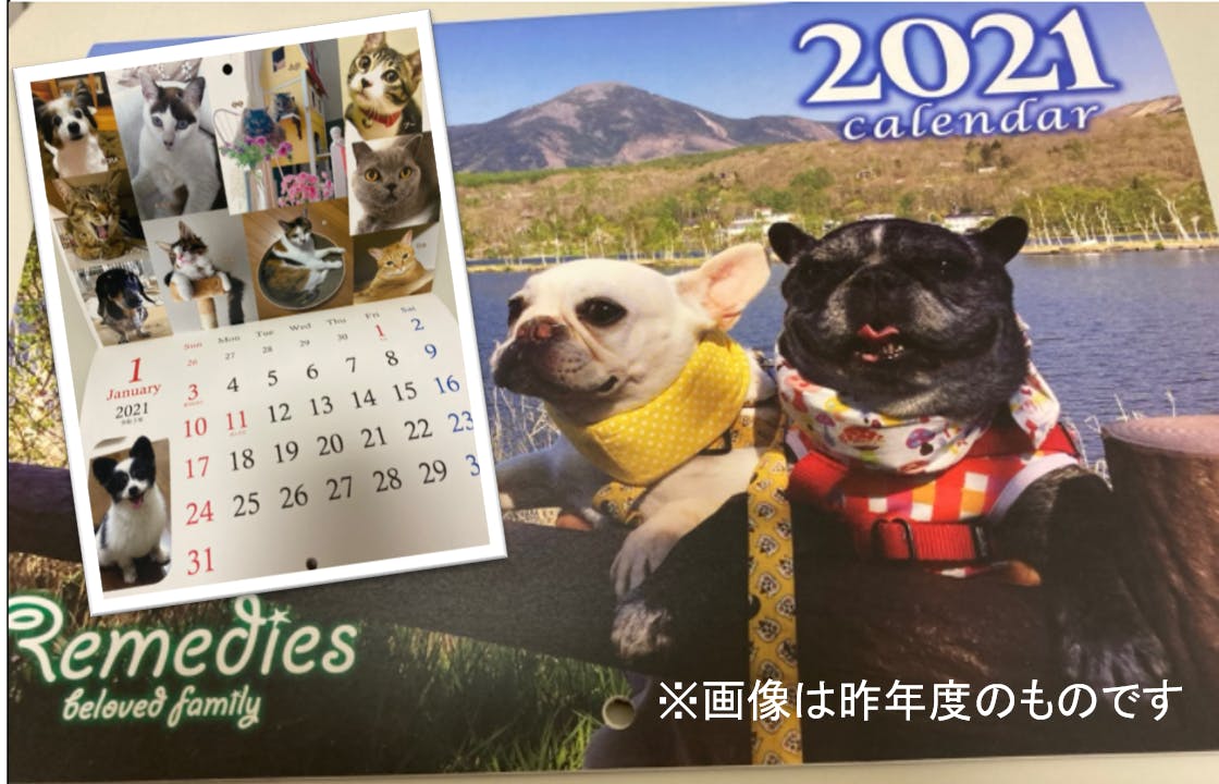 愛犬愛猫の参加ok 保護犬 猫のためのチャリティカレンダー22 Campfire キャンプファイヤー 愛犬愛猫の参加ok 保護犬 猫のためのチャリティカレンダー22 Campfire キャンプファイヤー