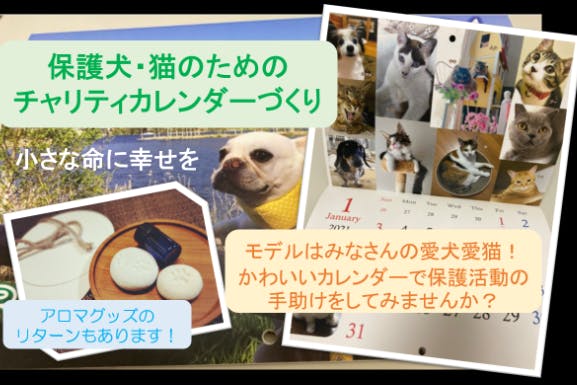 愛犬愛猫の参加ok 保護犬 猫のためのチャリティカレンダー22 Campfire キャンプファイヤー