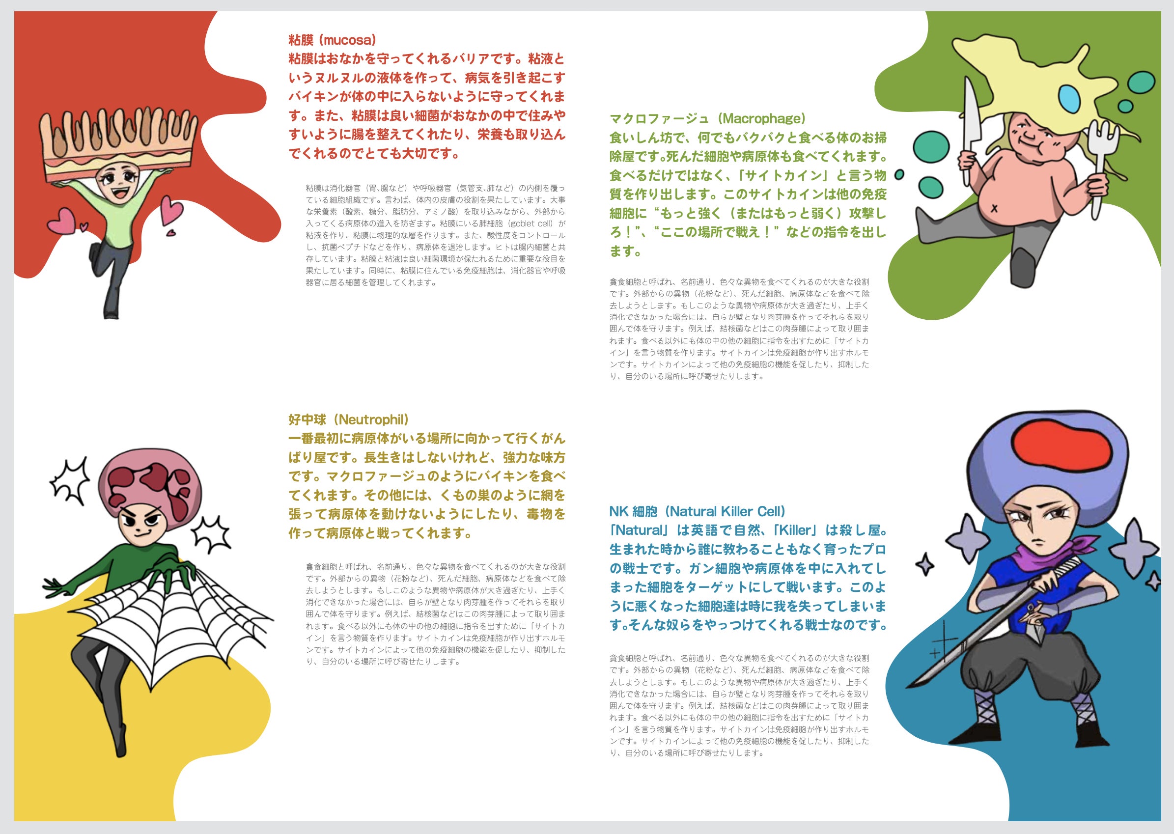 コロナでgoto Stayhome カードゲームで正しい知識 Campfire キャンプファイヤー コロナでgoto Stayhome カードゲームで正しい知識 Campfire キャンプファイヤー