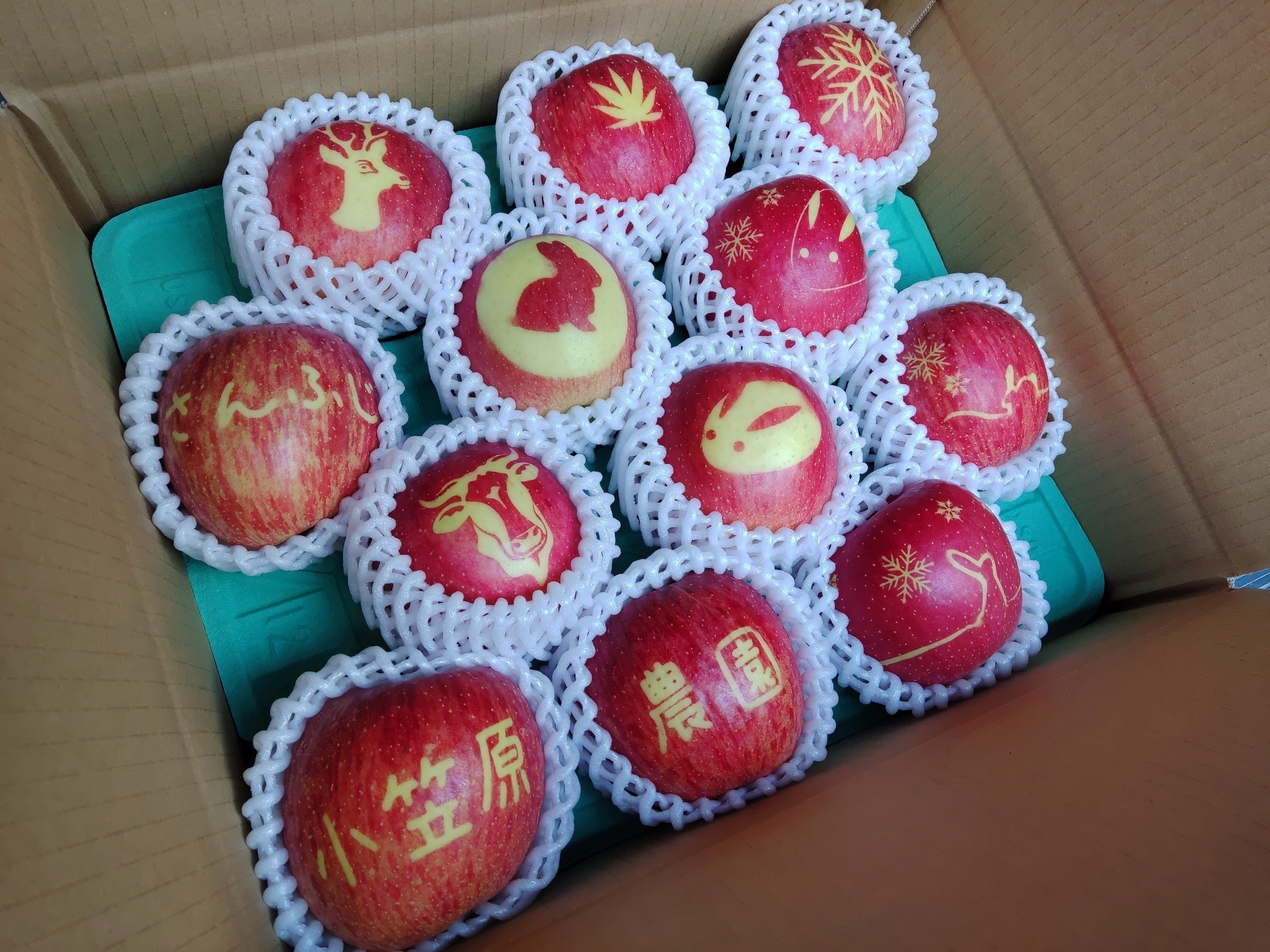 イラスト入りりんごを作りました！新しい驚きと美味しさで食卓に笑顔を