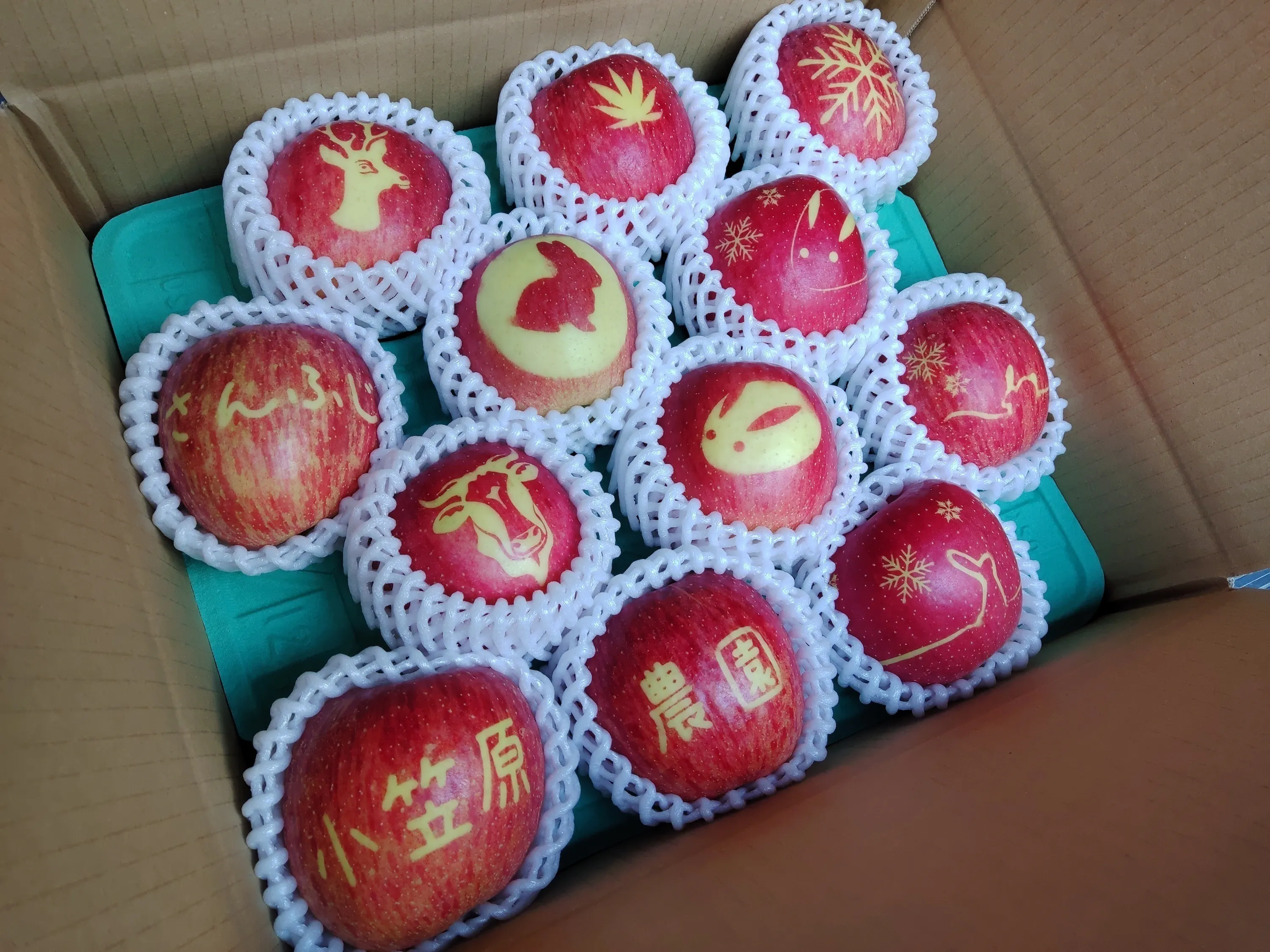 イラスト入りりんごを作りました 新しい驚きと美味しさで食卓に笑顔を届けます Campfire キャンプファイヤー イラスト入りりんごを作りました 新しい驚きと美味しさで食卓に笑顔を届けます Campfire キャンプファイヤー