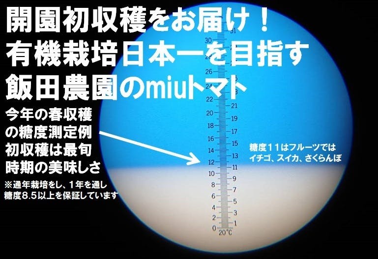 天然有機ミネラル栽培 農家直売 食味値86点 皆様の食レポレビューを