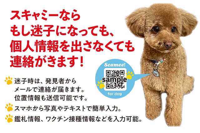 迷子犬をゼロに Qrコードで愛犬の情報 健康 ワクチン証明も登録できる迷子札 Campfire キャンプファイヤー 迷子犬をゼロに Qrコードで愛犬の情報 健康 ワクチン証明も登録できる迷子札 Campfire キャンプファイヤー