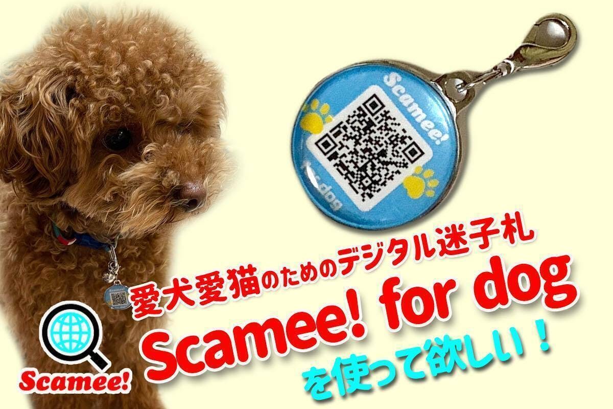 迷子犬をゼロに Qrコードで愛犬の情報 健康 ワクチン証明も登録できる迷子札 Campfire キャンプファイヤー 迷子犬をゼロに Qrコードで愛犬の情報 健康 ワクチン証明も登録できる迷子札 Campfire キャンプファイヤー