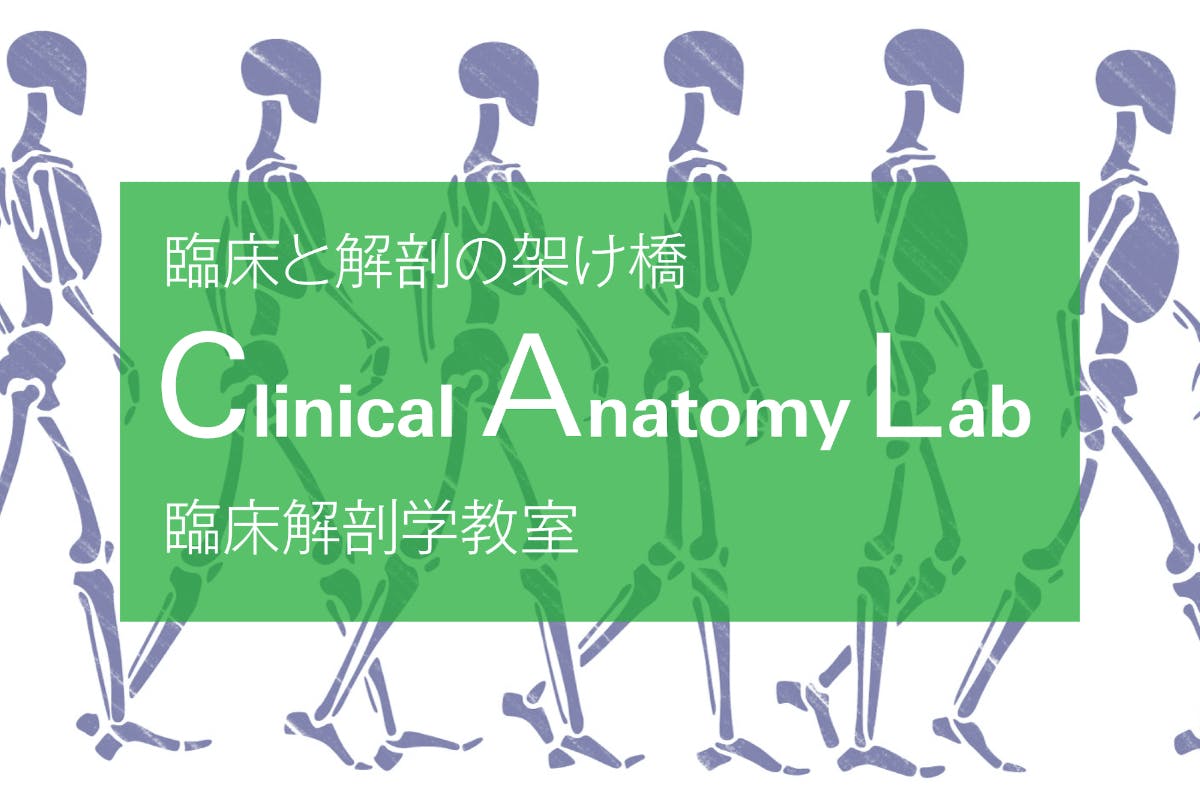Clinical Anatomy Lab  ー臨床解剖学教室ー