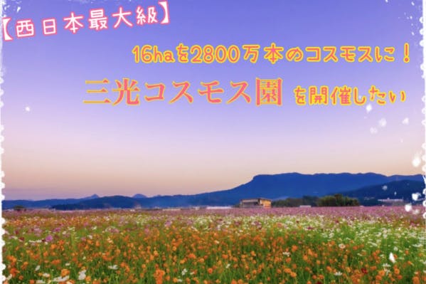 西日本最大級 16haに約2 800万本 満開のコスモスと満面の笑顔を届けたい Campfire キャンプファイヤー