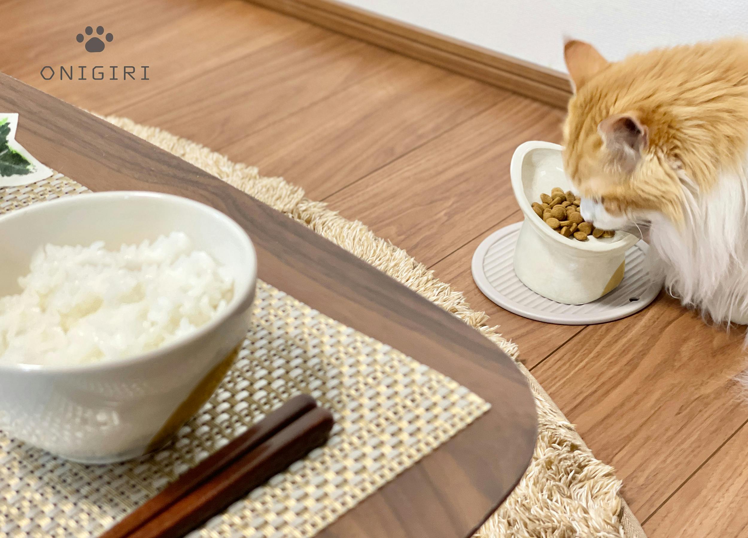 鼻ぺちゃ猫にも優しいフードボウル「パウ・ボウル ONIGIRI」を商品化