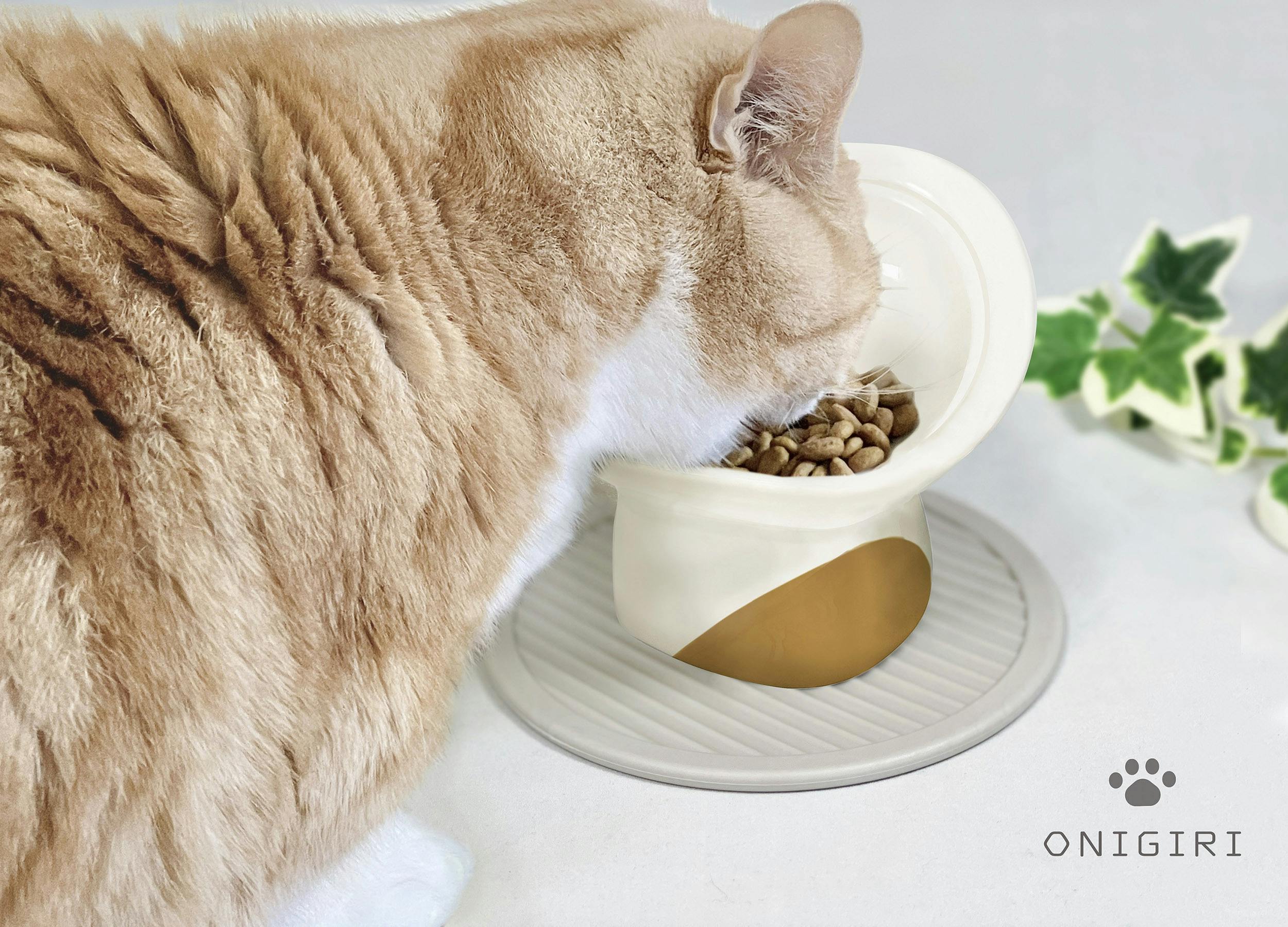 猫 食器 犬  餌 入れ 台 ペット 用 の お 皿「全品2個で5オフ」フードボウル  陶器 食べやすい 斜め ご飯 容器