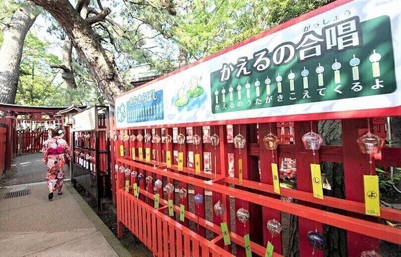 新潟総鎮守 白山神社の七夕まつりを継続して子どもたちの夢と笑顔を繋ぎたい Campfire キャンプファイヤー 新潟総鎮守 白山神社の七夕まつりを継続して子どもたちの夢と笑顔を繋ぎたい Campfire キャンプファイヤー